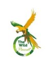 THE WILD PARROT