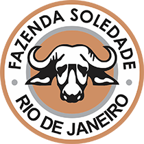 FAZENDA SOLEDADE